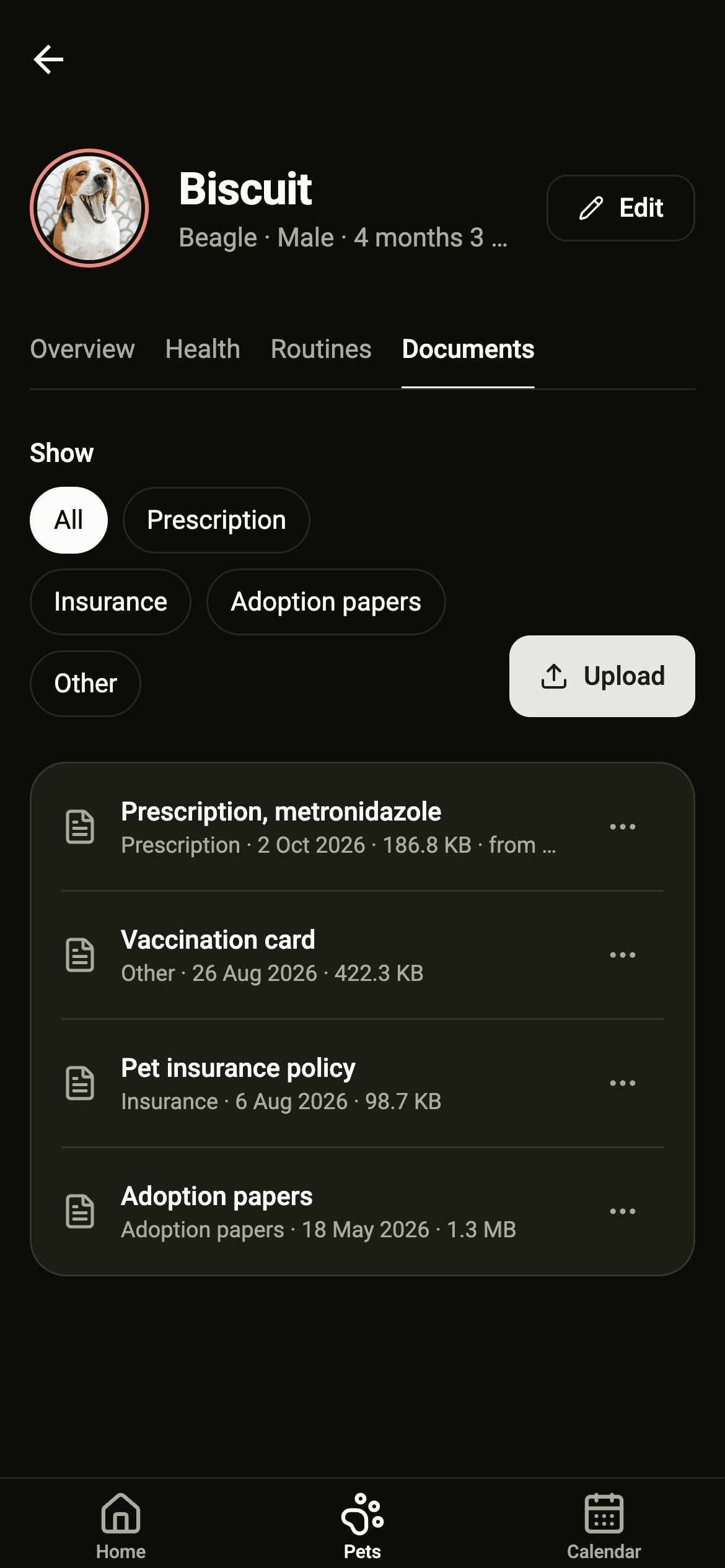 Biscuit's documents: a prescription, his vaccination card, an insurance policy and adoption papers.