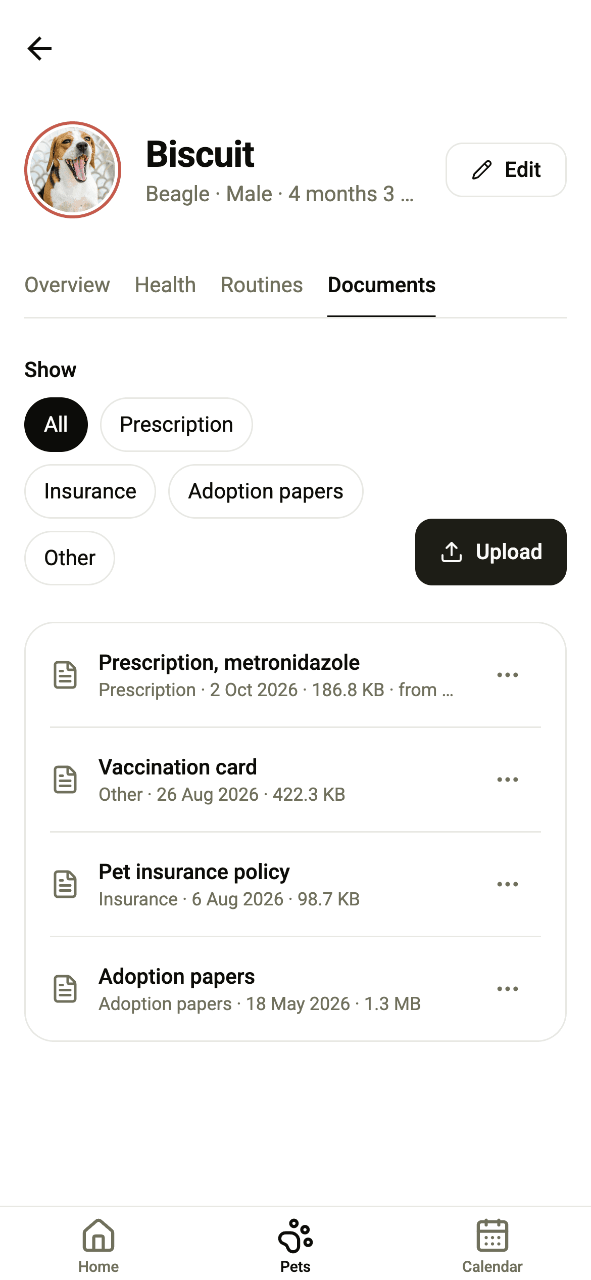 Biscuit's documents: a prescription, his vaccination card, an insurance policy and adoption papers.