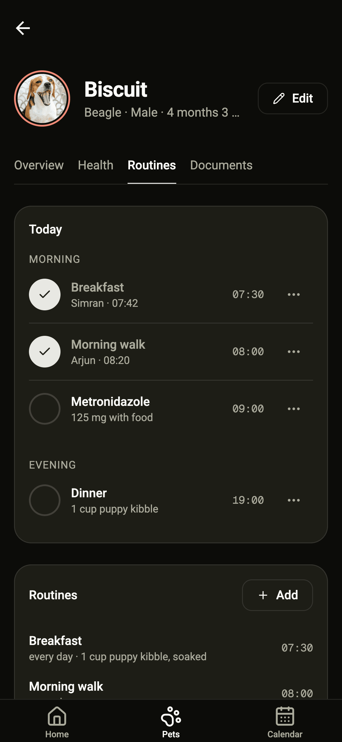 Biscuit's routines: breakfast, a morning walk, metronidazole and dinner, with today's ticks.