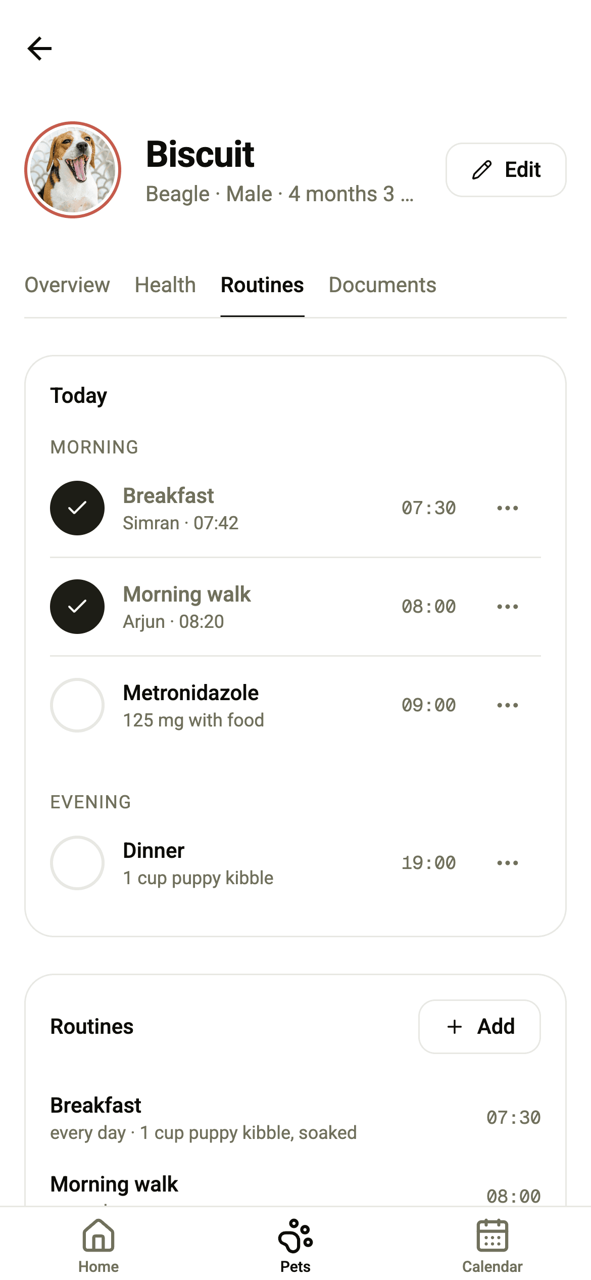 Biscuit's routines: breakfast, a morning walk, metronidazole and dinner, with today's ticks.